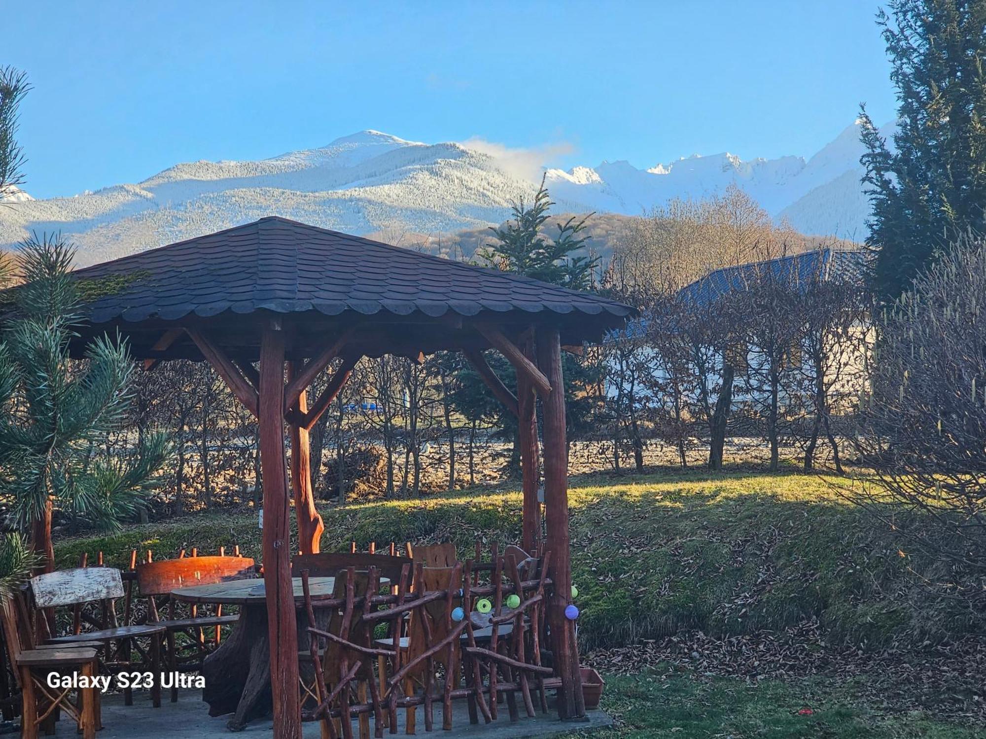 Casa De Vacanta Marin Arpaşu de Sus Εξωτερικό φωτογραφία