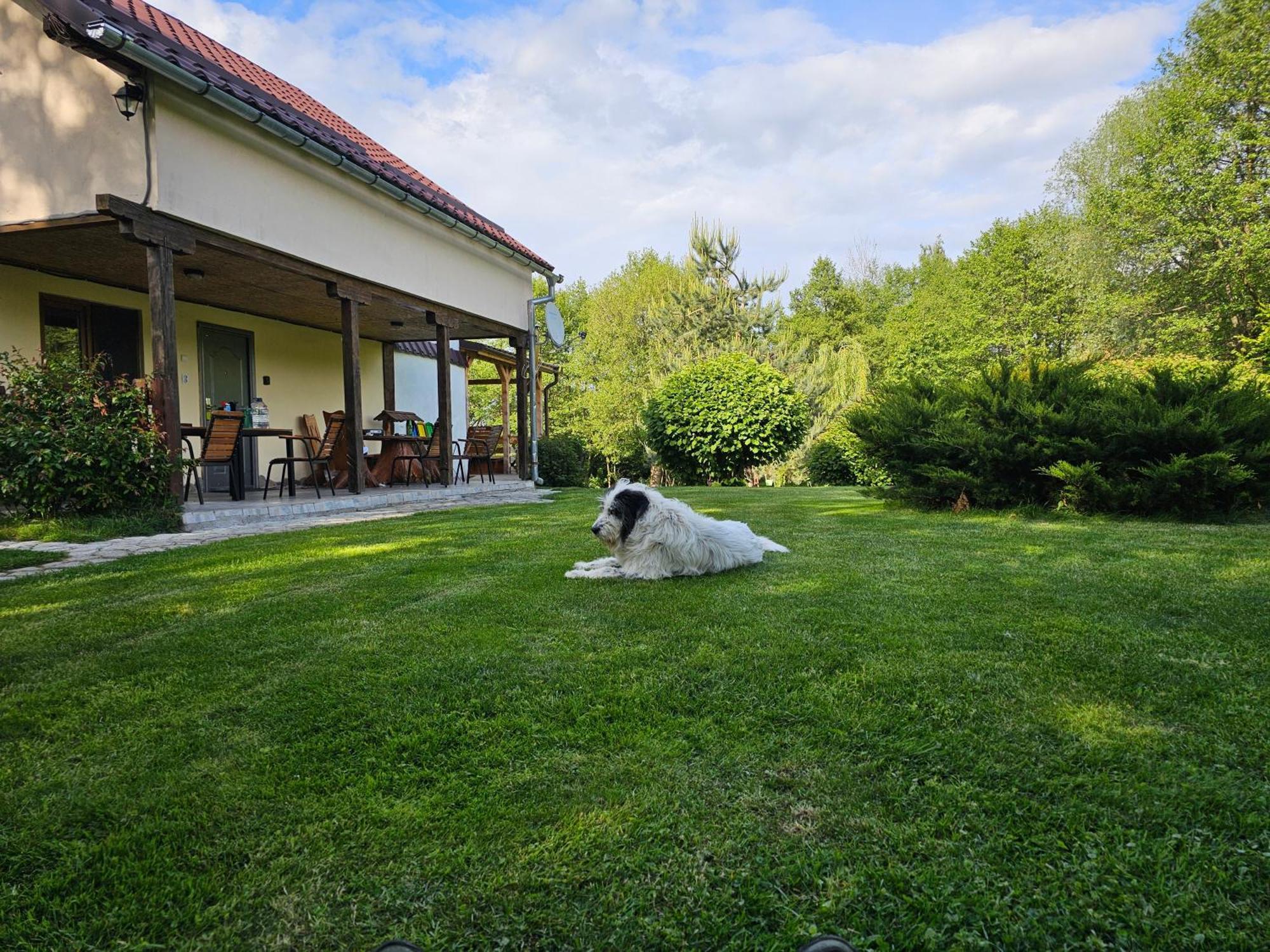 Casa De Vacanta Marin Arpaşu de Sus Εξωτερικό φωτογραφία