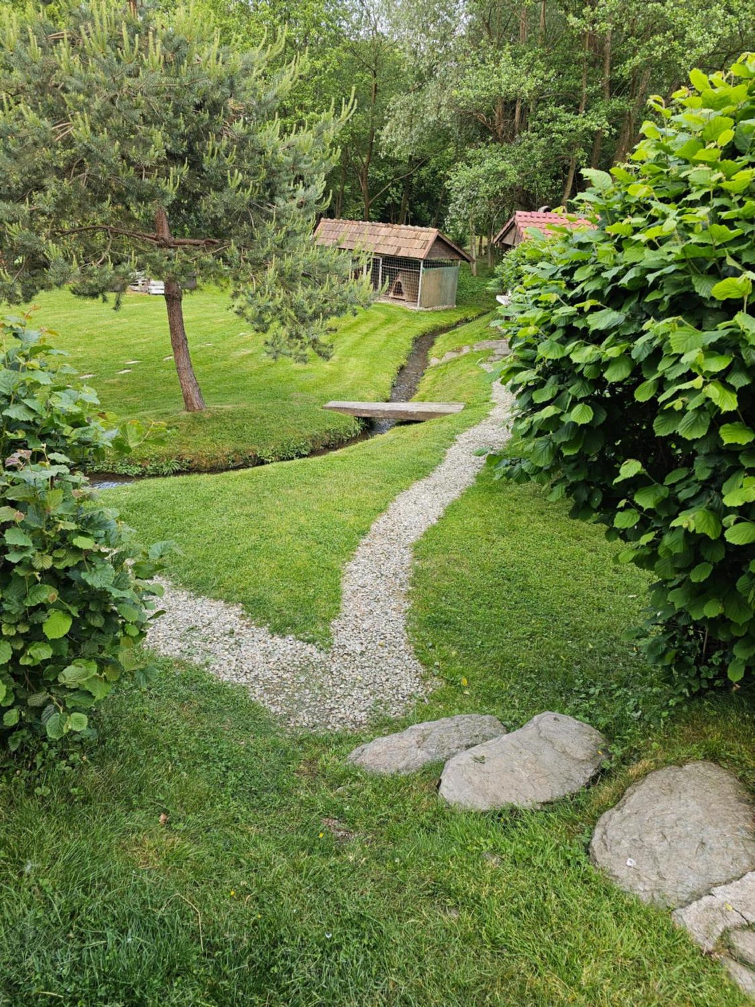 Casa De Vacanta Marin Arpaşu de Sus Εξωτερικό φωτογραφία
