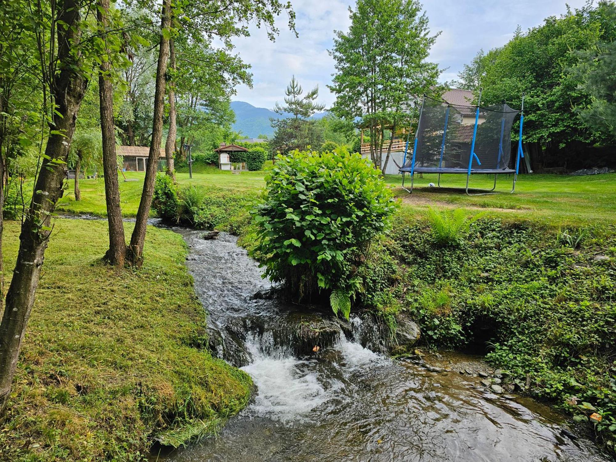 Casa De Vacanta Marin Arpaşu de Sus Εξωτερικό φωτογραφία