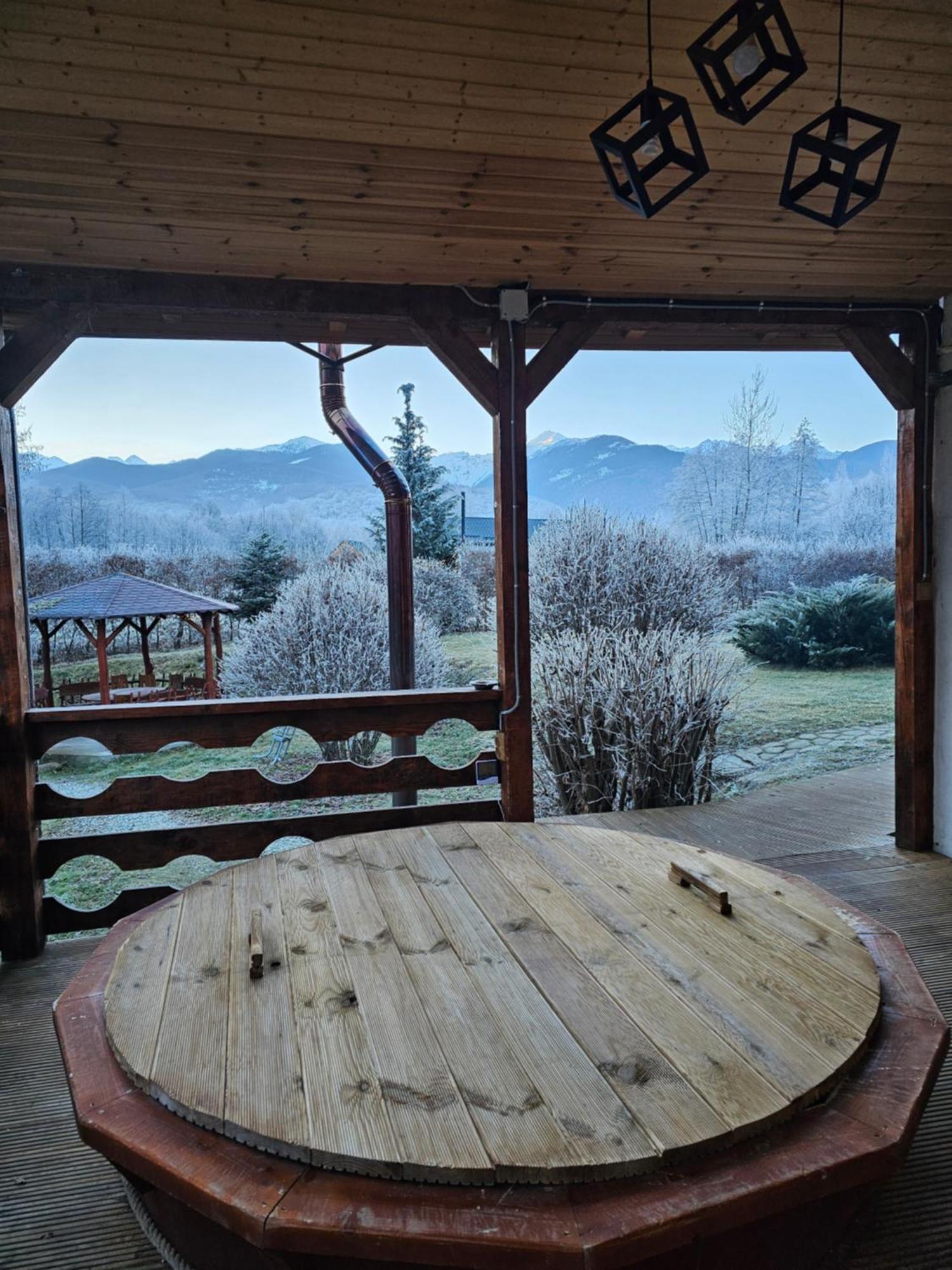 Casa De Vacanta Marin Arpaşu de Sus Εξωτερικό φωτογραφία
