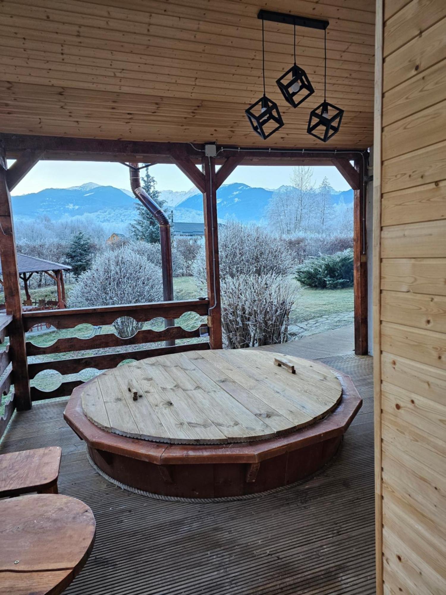 Casa De Vacanta Marin Arpaşu de Sus Εξωτερικό φωτογραφία
