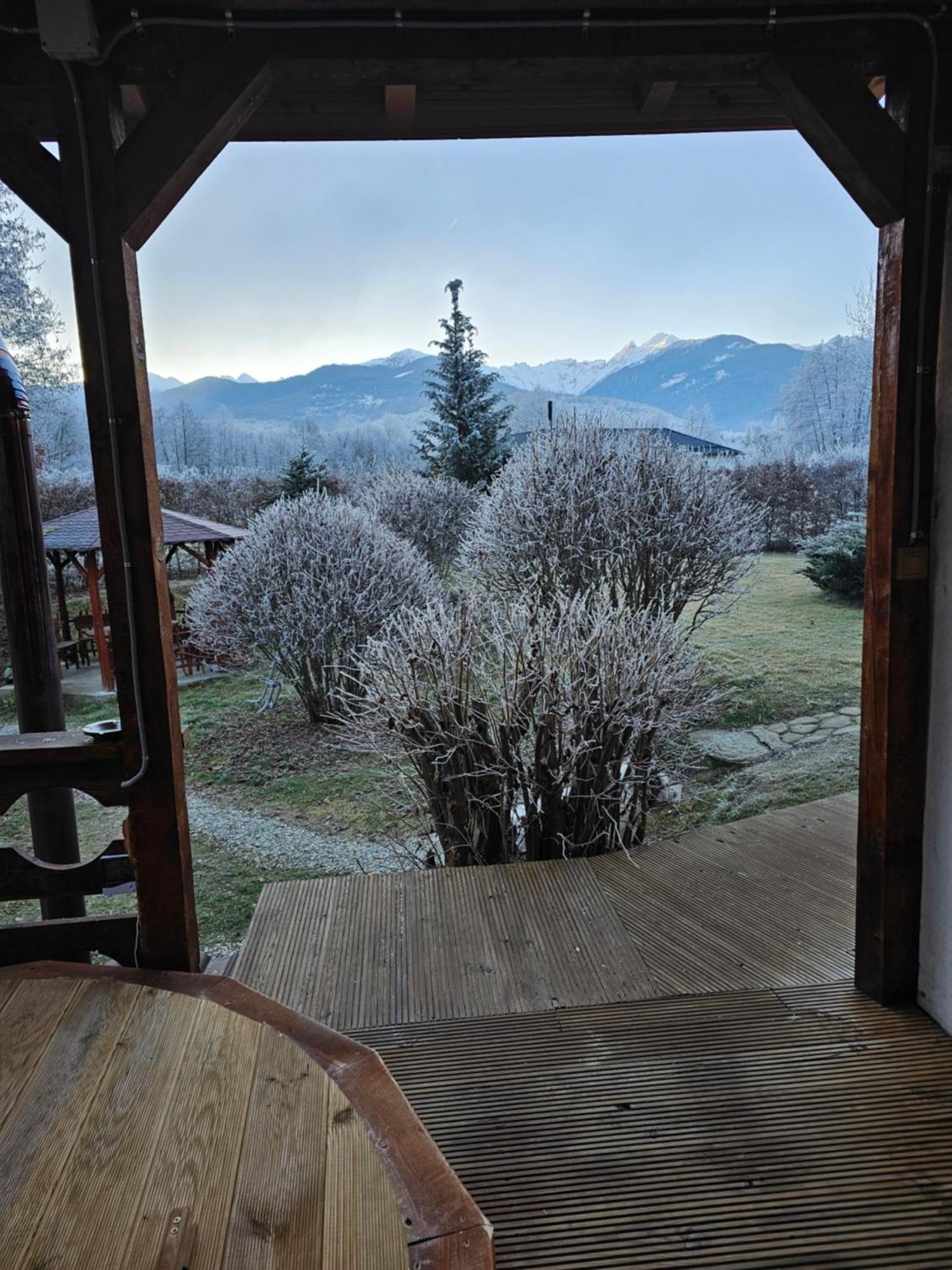 Casa De Vacanta Marin Arpaşu de Sus Εξωτερικό φωτογραφία