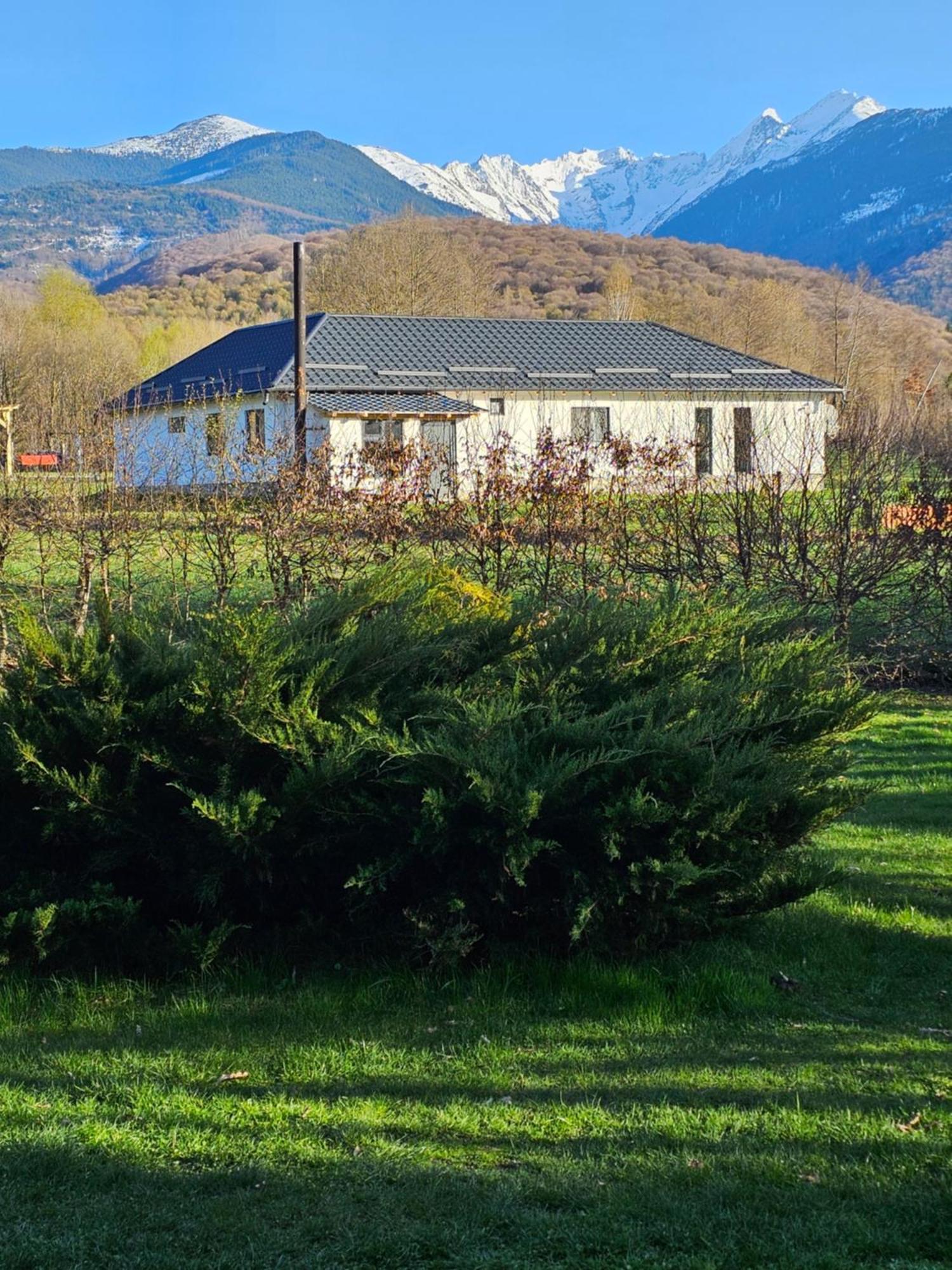 Casa De Vacanta Marin Arpaşu de Sus Εξωτερικό φωτογραφία
